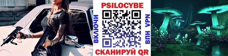 где купить наркотик  Каргополь  Псилоцибиновые грибы мицелий 